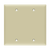 2-Gang Blank Wall Plate | Residential Grade