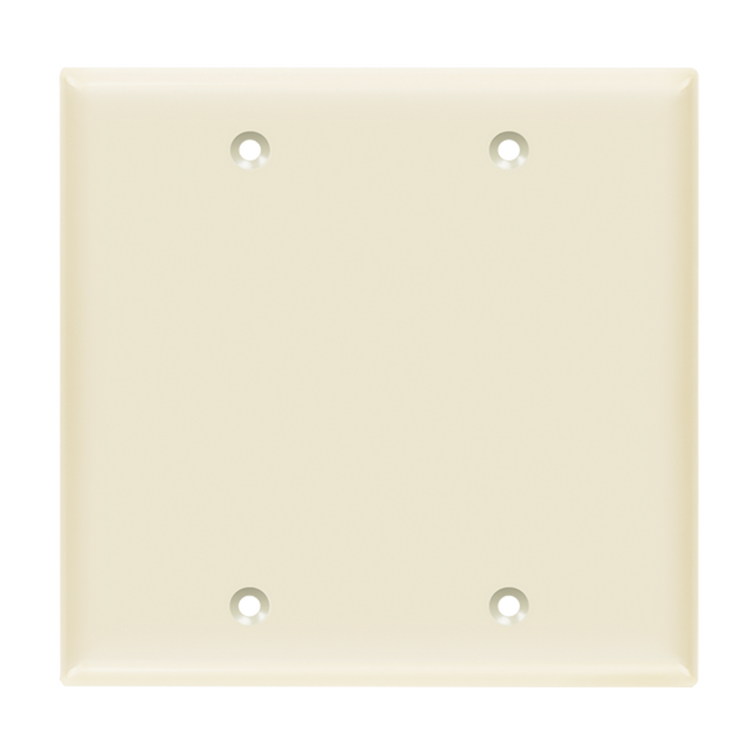 Blank electrical box cover double gang