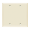 2-Gang Blank Wall Plate | Residential Grade