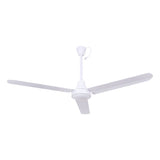 ceiling Fans